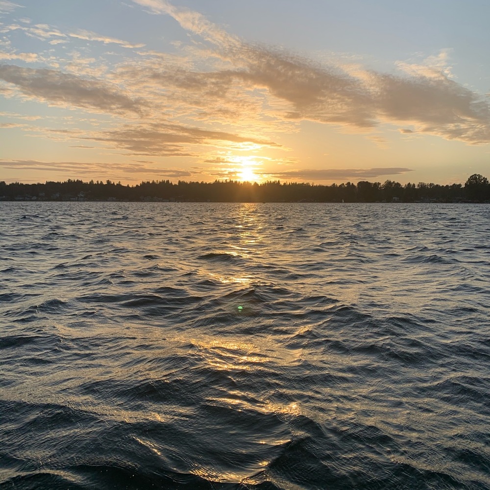 Meet your Posher, Izzy